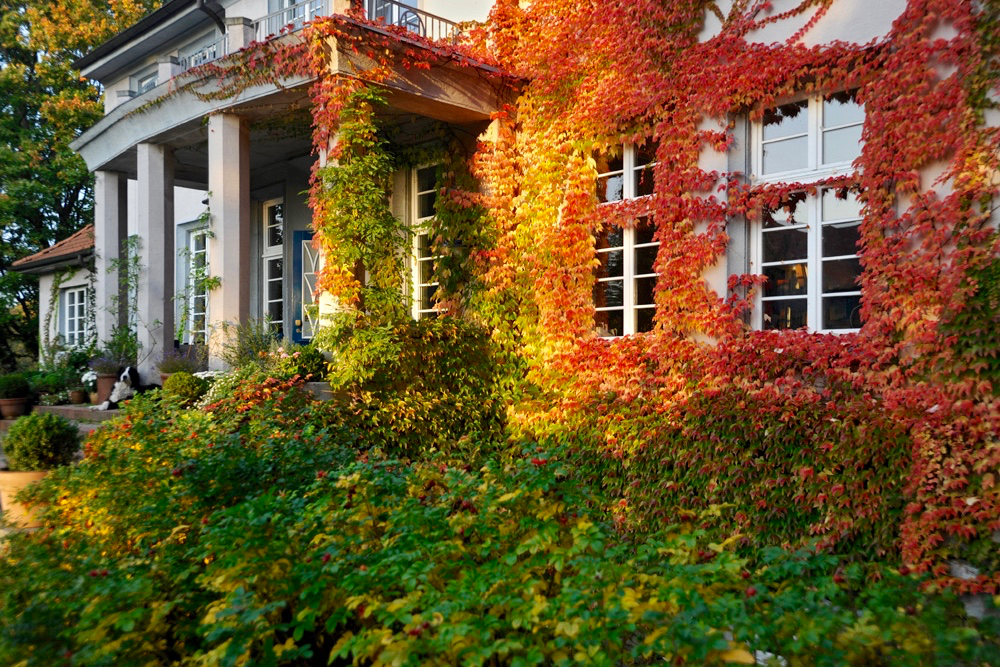 Gutshaus Rothen 28 (Urlaub im Denkmal)